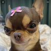 melody.martinez273