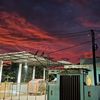 warsitowarsito7137
