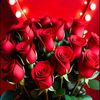 user301311508460
