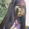 lop_o17