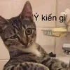 m1n7.n8uy5n