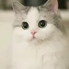 muzikckmasterd0710