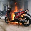 welasasih481