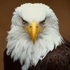 manofvalor7777