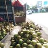 mas.joko8625