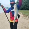 rapala_surf2