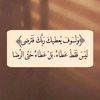 user8596566165141