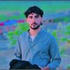 azizarman1336