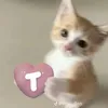 adu_ku_tieu