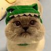 user5aksbad4mv