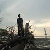 ruang.kata_fly