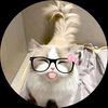 your.cat429