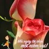 tuynguyen0473