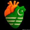 essashehzad381