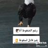 amal.hayati120