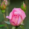 valentina_he0