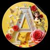 mis.anjila1
