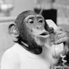 FunnyPrankCalls4you