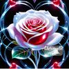 mdhamidul.islam73