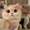 htet.aung.hlaing142