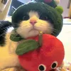apple_la_rei2