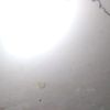 talhajutt000888