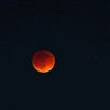 chloe_domenici_