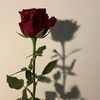 will.be.realized.s