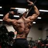 masterofgym2