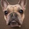 user307719118