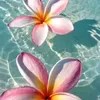 livia.kauany6