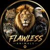 flawless.animal