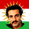 sarkawhawawazangmail.com