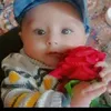 user8114363929478