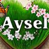 09_aysel_