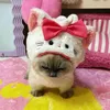 minaqueen435