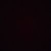 bashir_niazi001