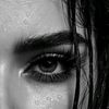 roya12355