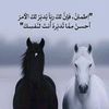 lakhdar.marouf2