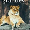 dejaniradossant95