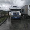 estrella__534