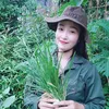 CÔ LIỄU TÂY BẮC