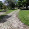 carlospadilha672