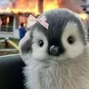 account_notfound527