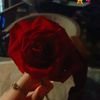 rowda.yasser