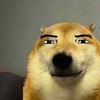 jaji_jaji2