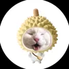 ngthhamy2406