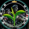 adityaoke165