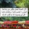 fatima.alzhrani5