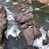 tennkuuzei